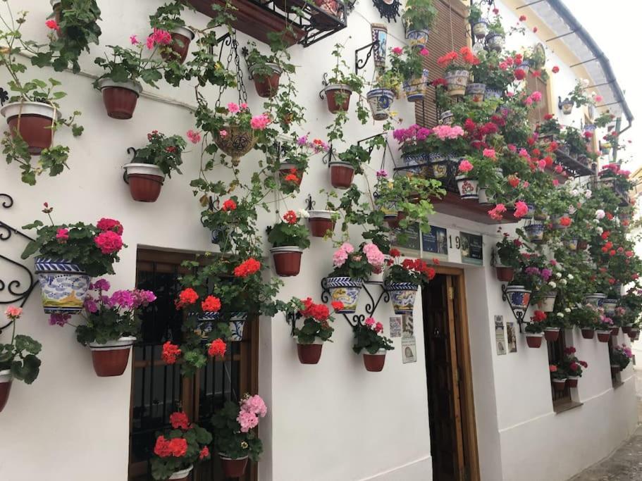 קורדובה Apartamento El Templo מראה חיצוני תמונה